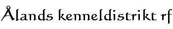 head.gif (1749 bytes)